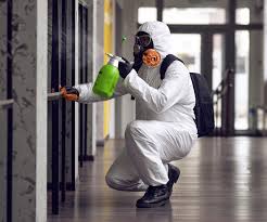 Best Environmental Consulting for Mold Prevention  in USA